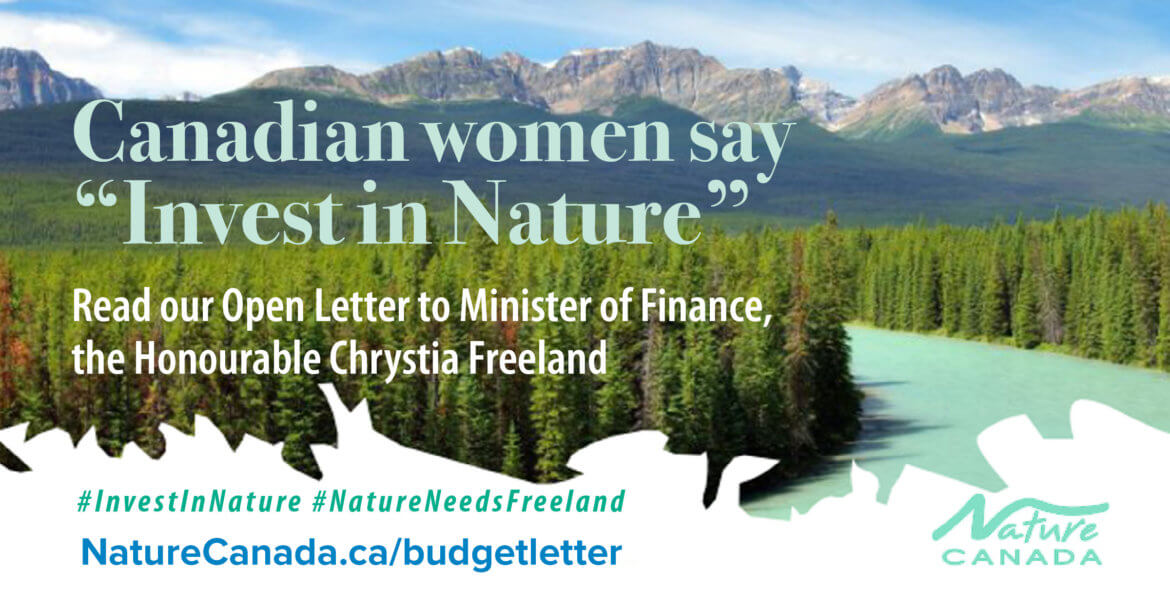 abfinal-nature-canada-poster